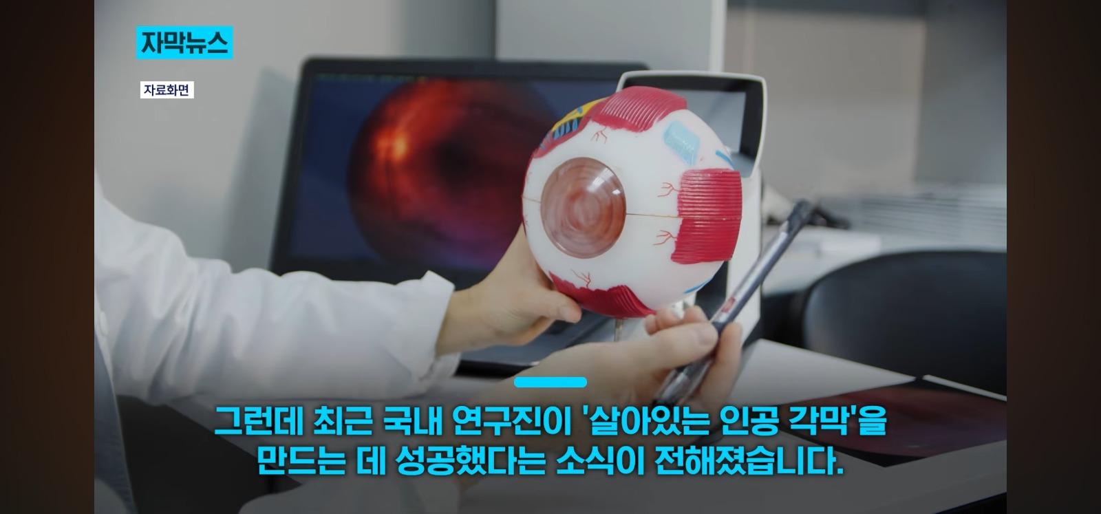 살아있는 인공각막 만드는데 성공