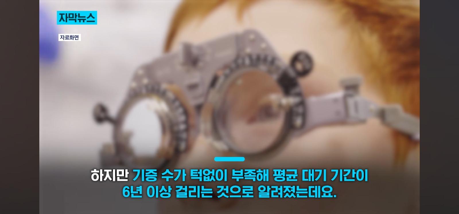 살아있는 인공각막 만드는데 성공