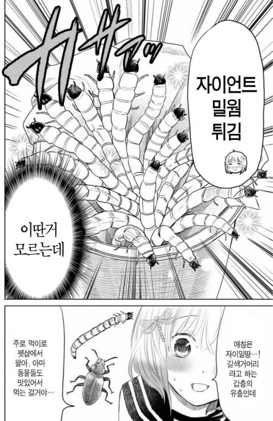 어이어이www 여자애가 도시락도 싸주고 둘이 사귀냐구wwww