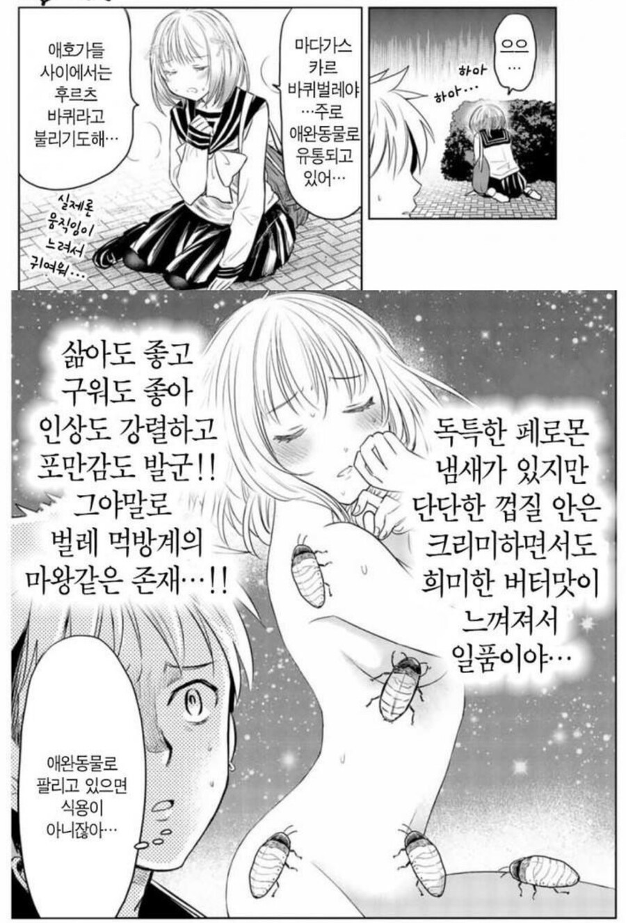 어이어이www 여자애가 도시락도 싸주고 둘이 사귀냐구wwww