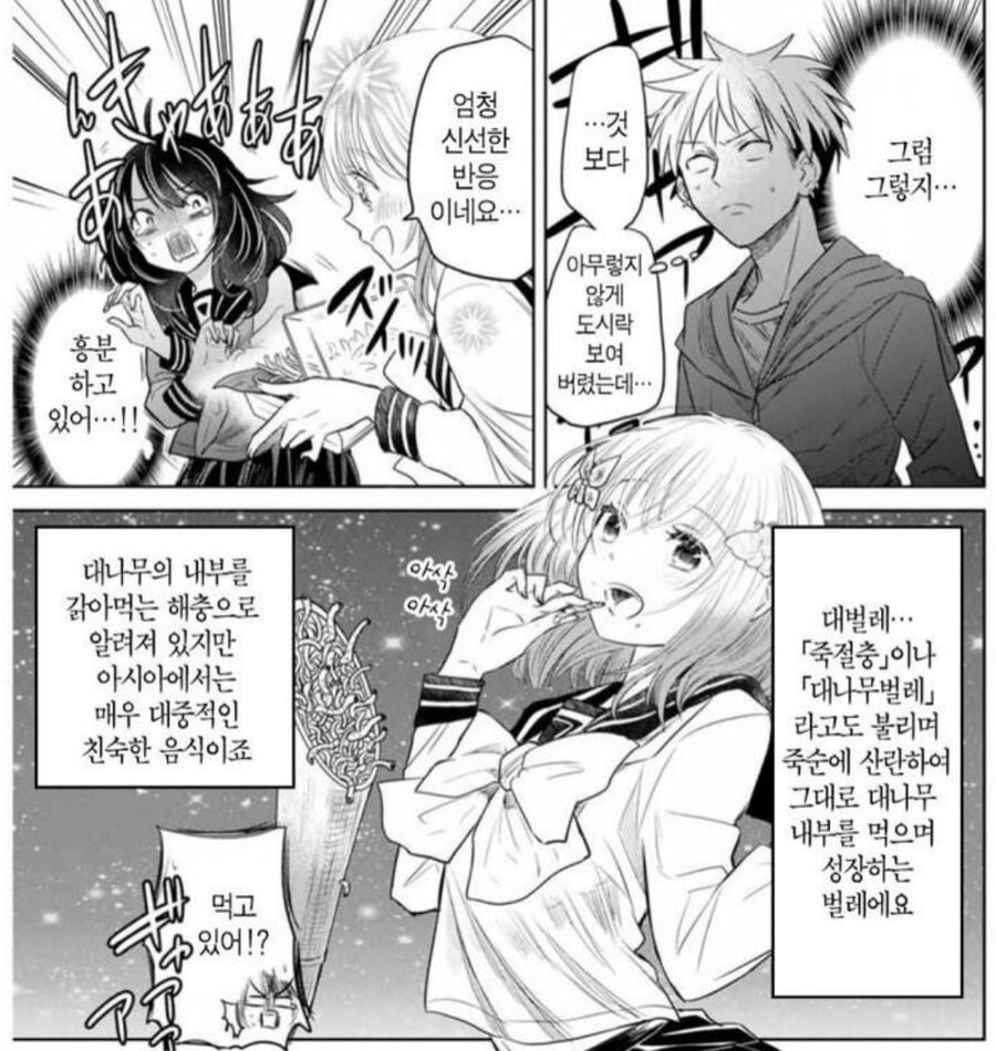 어이어이www 여자애가 도시락도 싸주고 둘이 사귀냐구wwww