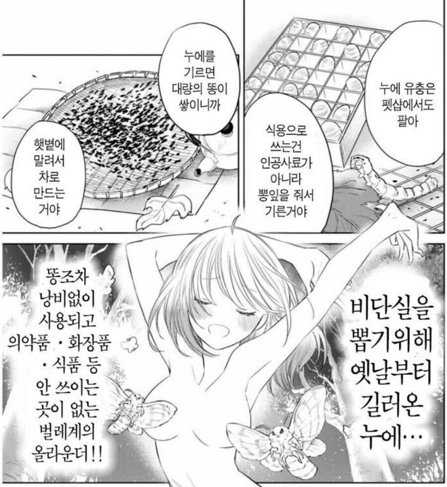 어이어이www 여자애가 도시락도 싸주고 둘이 사귀냐구wwww
