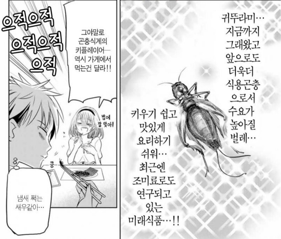 어이어이www 여자애가 도시락도 싸주고 둘이 사귀냐구wwww