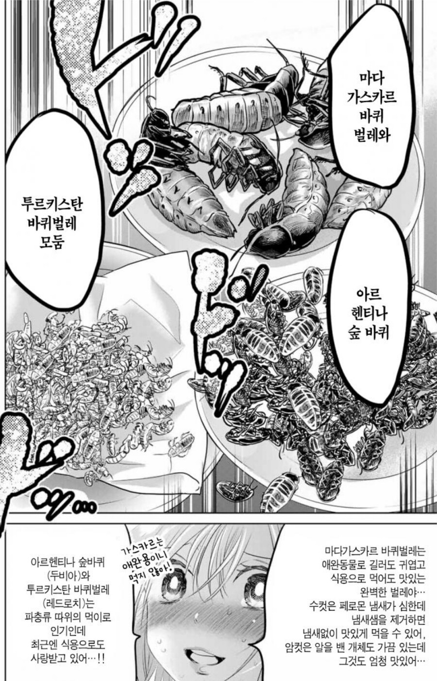 어이어이www 여자애가 도시락도 싸주고 둘이 사귀냐구wwww