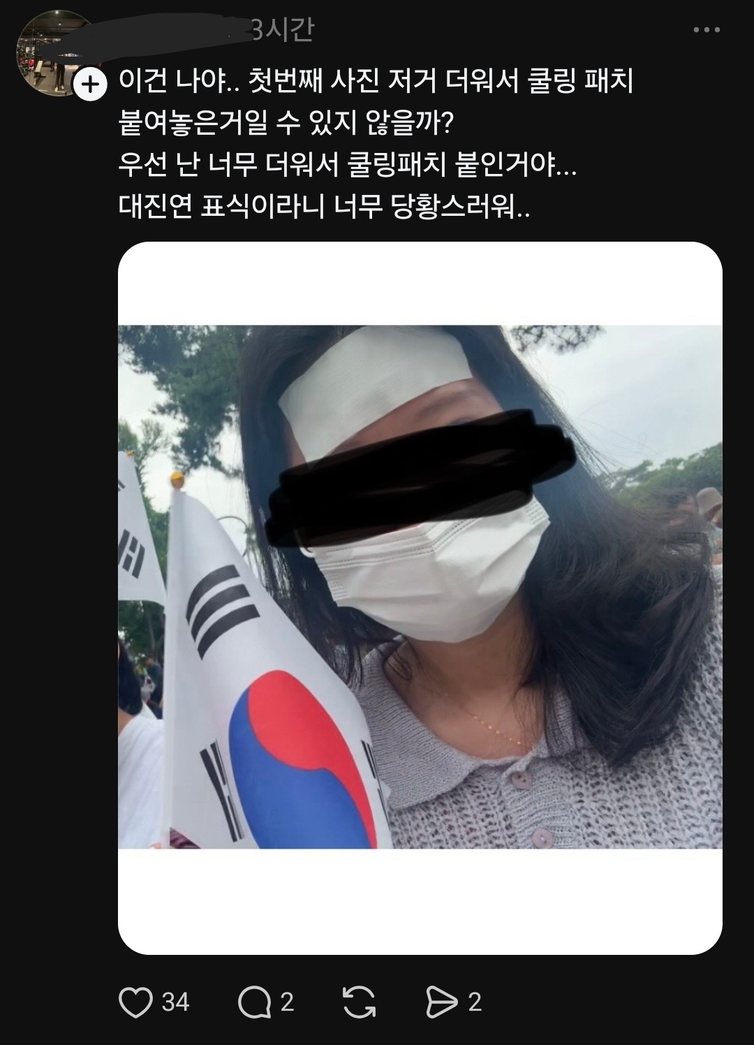 잠실 시위 참여한 우파녀들 대진연으로 몰려서 박제되는 중
