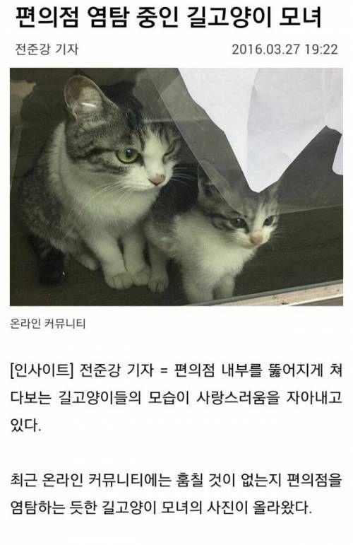 편의점을 노리는 모녀