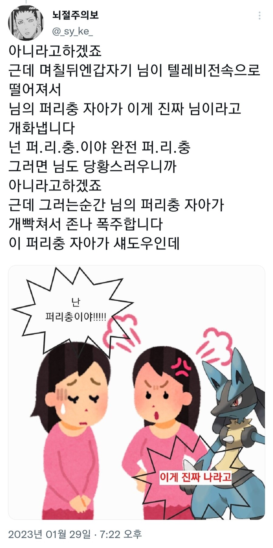 페르소나) 4를 설명하는 글