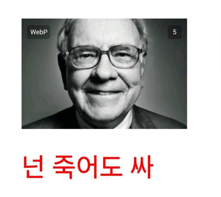 버핏씨...하이닉스는 살아날 거죠????