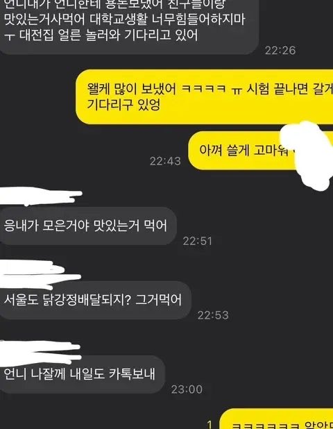 대학생 언니에게 용돈 보낸 초등학생 동생