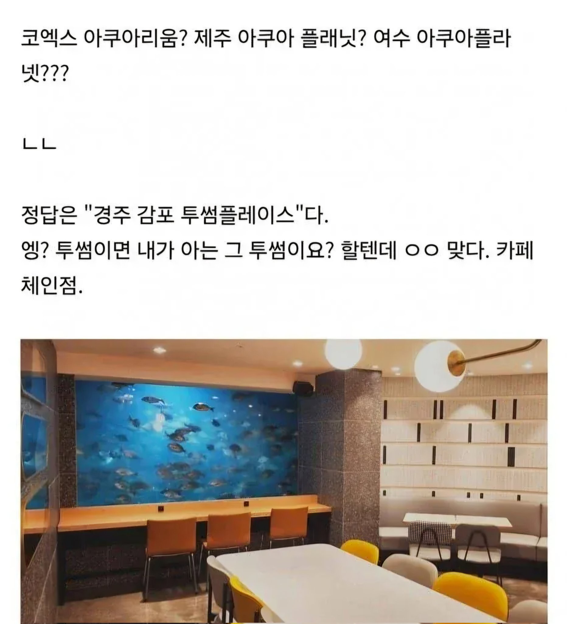 5일간 전세계 1위급이었던 한국 수족관
