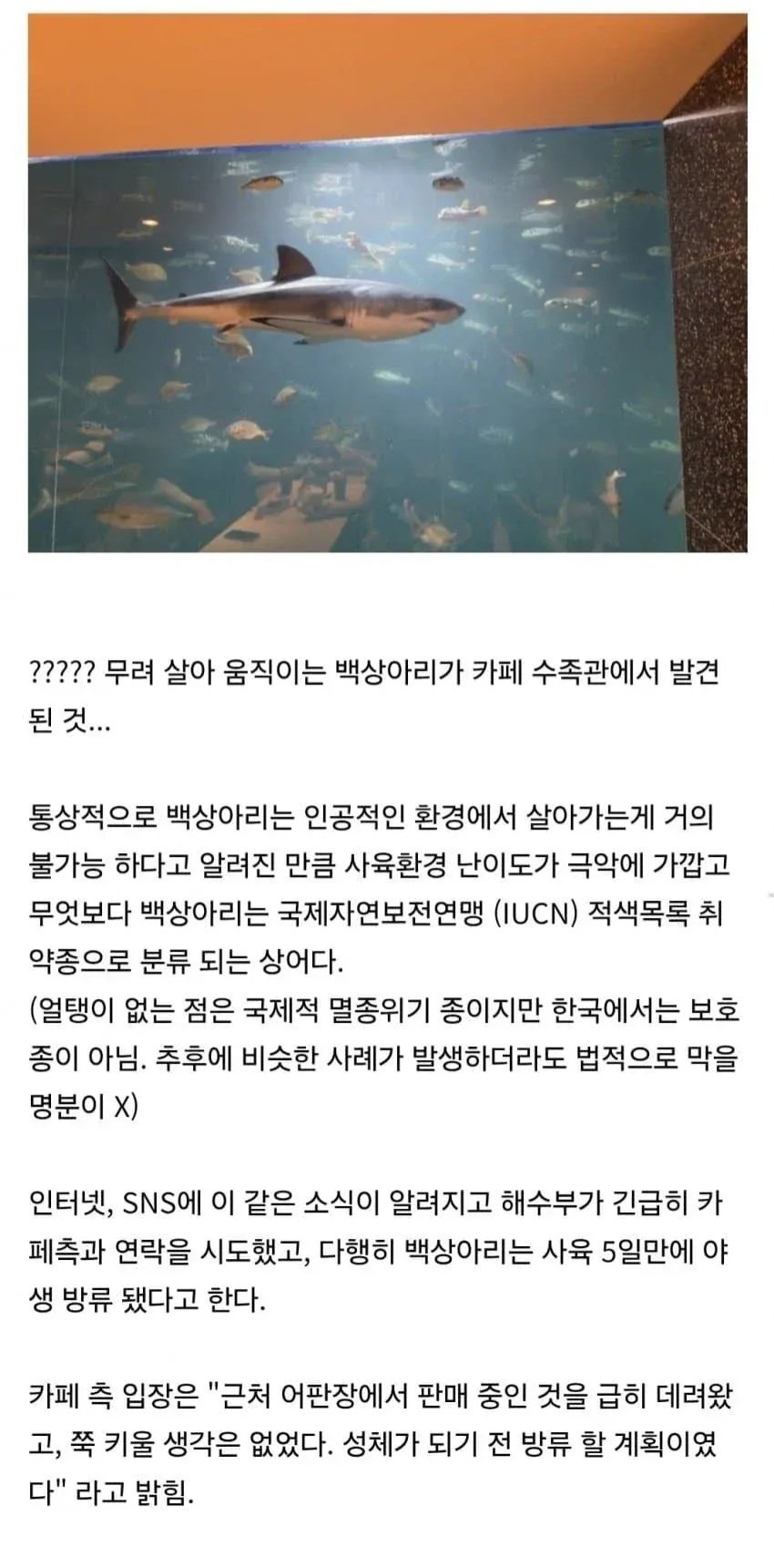 5일간 전세계 1위급이었던 한국 수족관