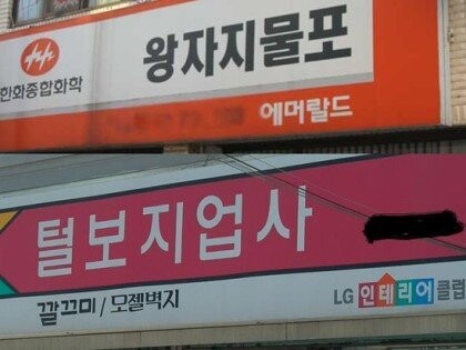 "고추 빱니다"