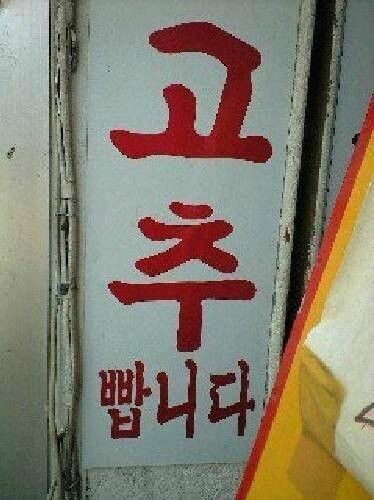 "고추 빱니다"