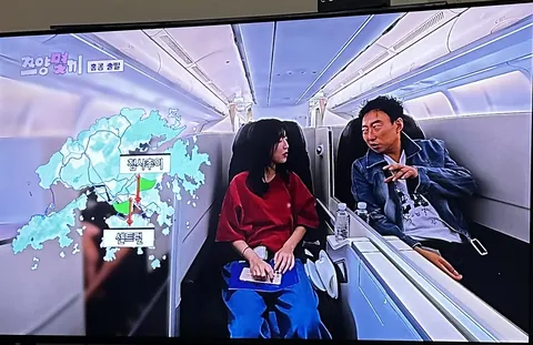 쯔양 몇 끼.