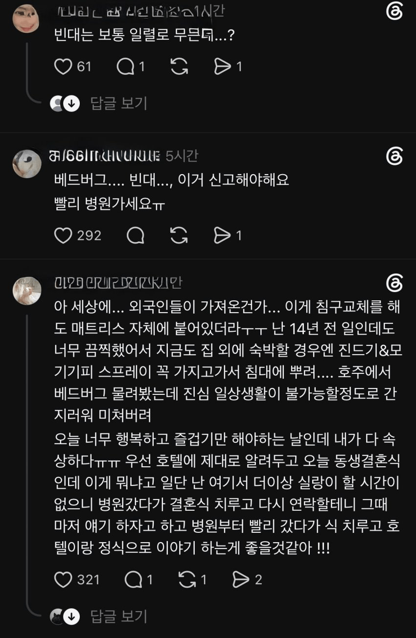혐주의) 신라스테이 호텔 근황