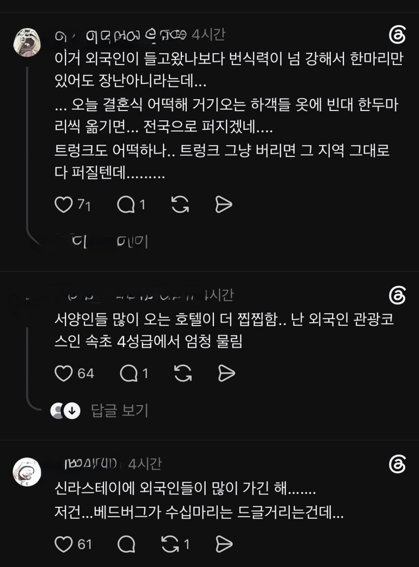 혐주의) 신라스테이 호텔 근황