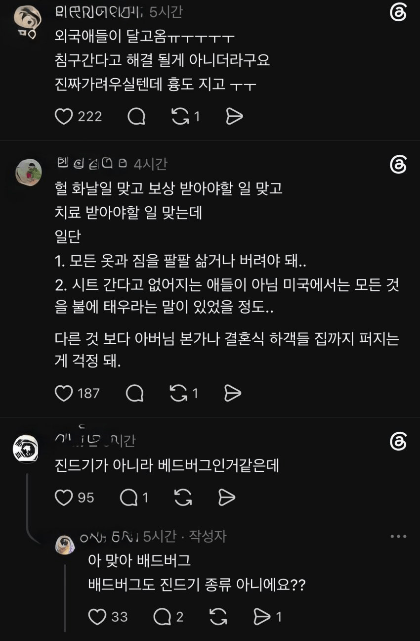 혐주의) 신라스테이 호텔 근황