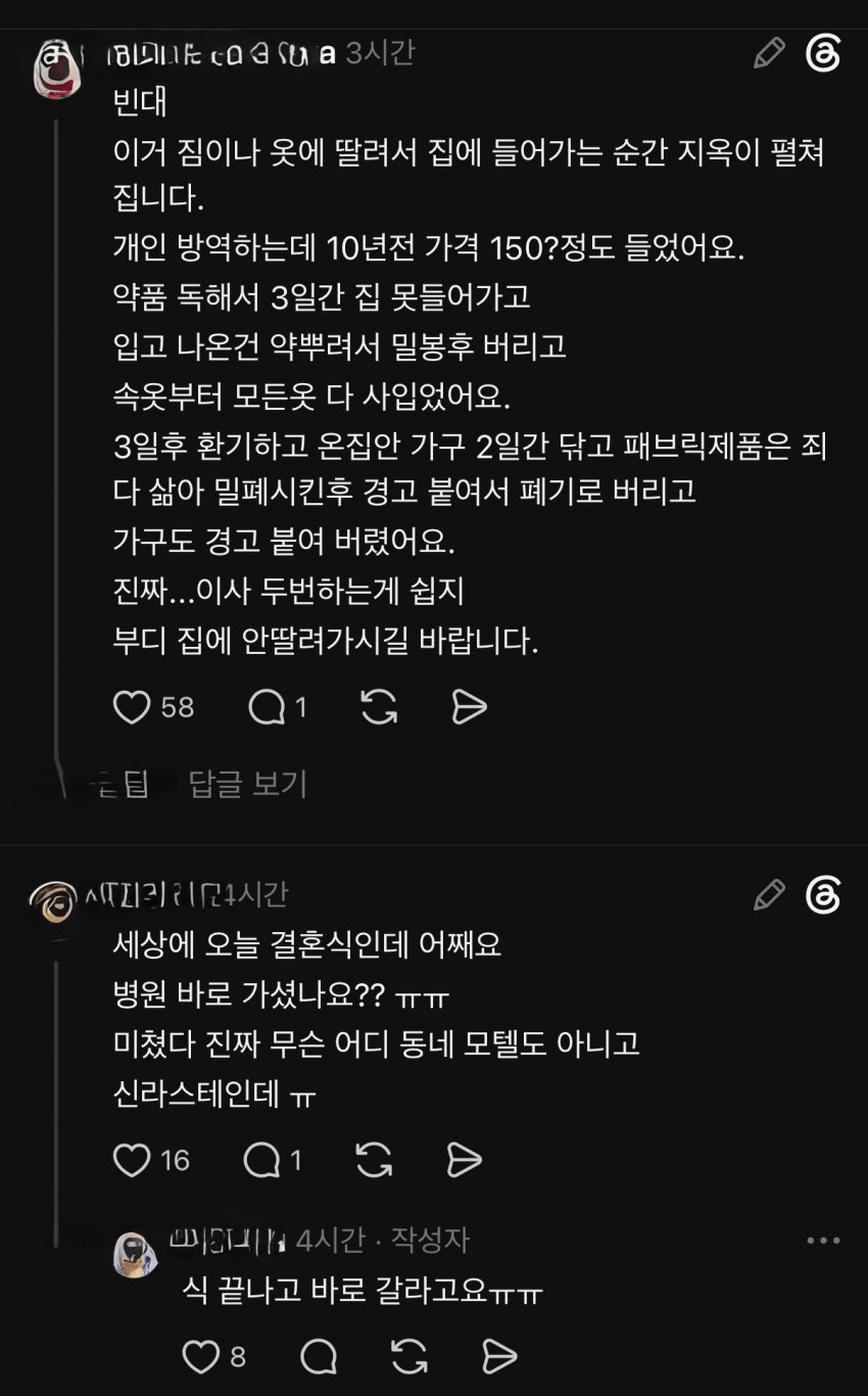 혐주의) 신라스테이 호텔 근황