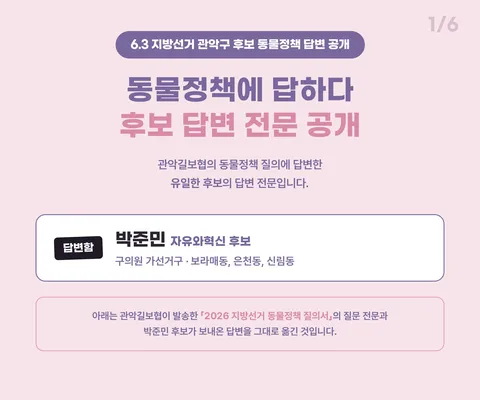 캣맘 표밭은 옛말? 지선에서 보는 변화의 흐름