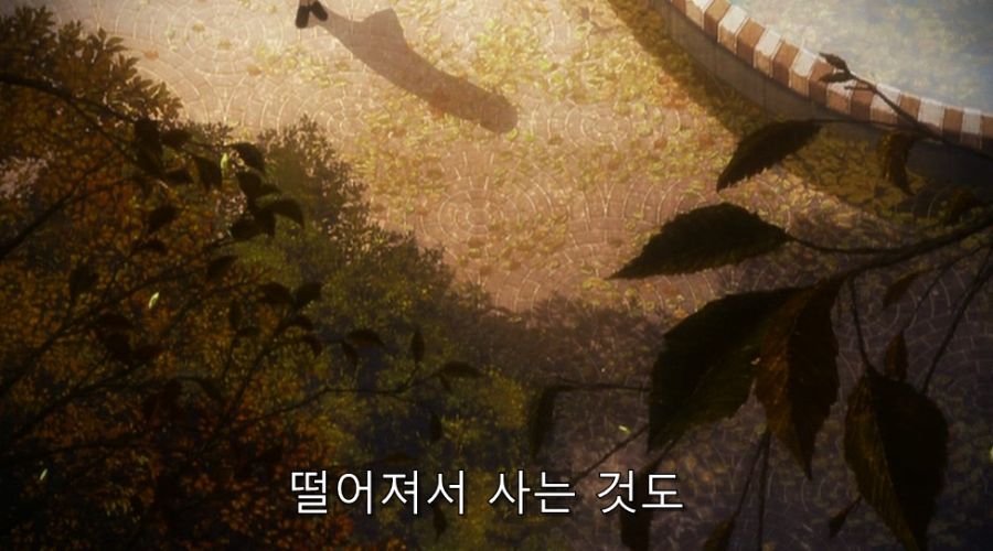 공의경계) 친오빠를 진심으로 사랑한 여동생