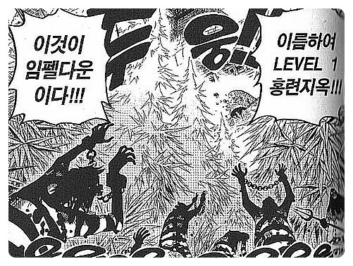 원피스에서 가장 클린한 정부기관.jpg