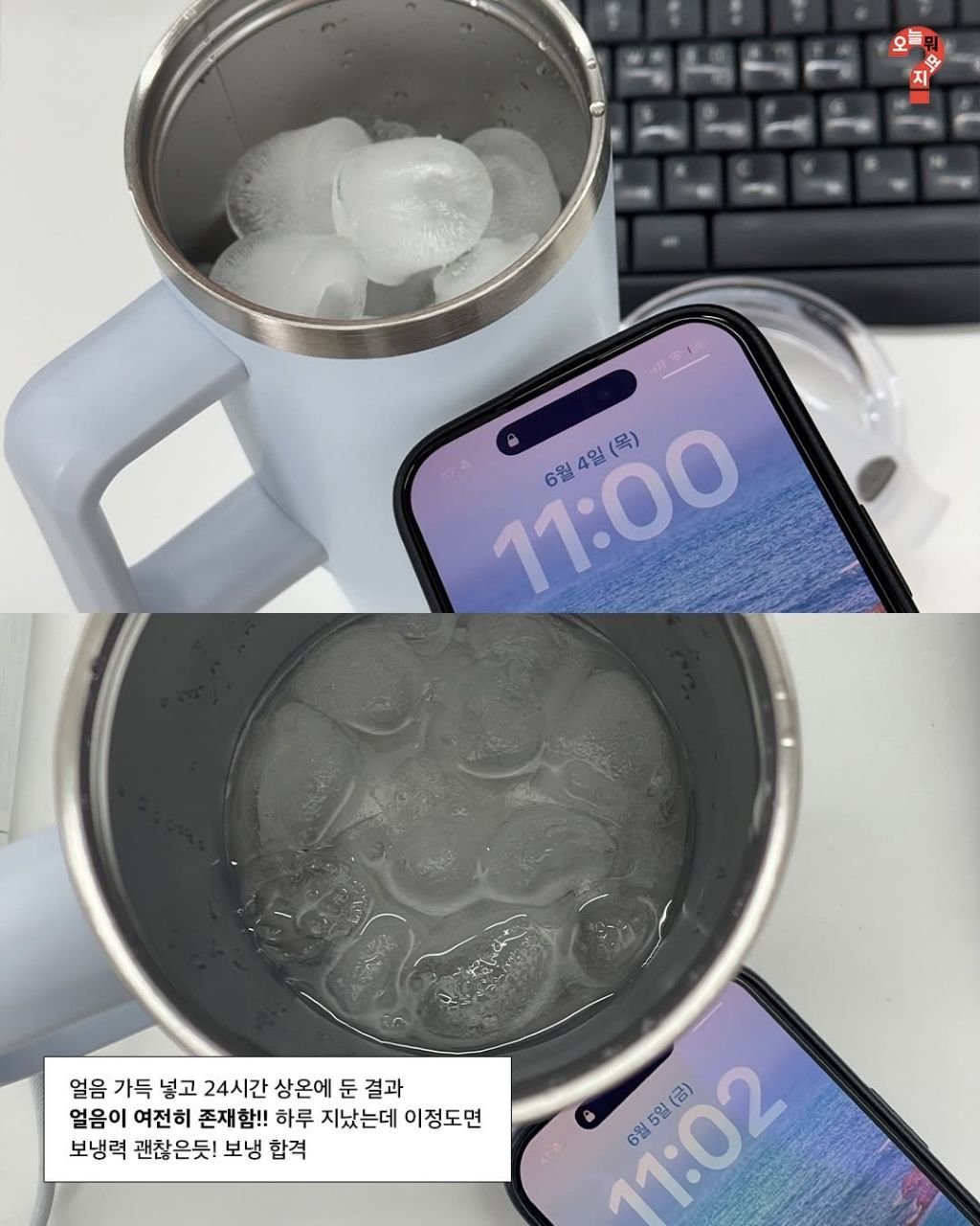 다이소판 스탠리 텀블러 '다탠리' 리뷰