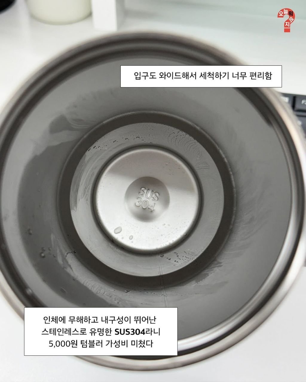 다이소판 스탠리 텀블러 '다탠리' 리뷰
