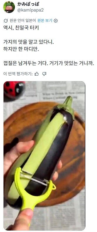 역시 친일국가(?) 튀르키예