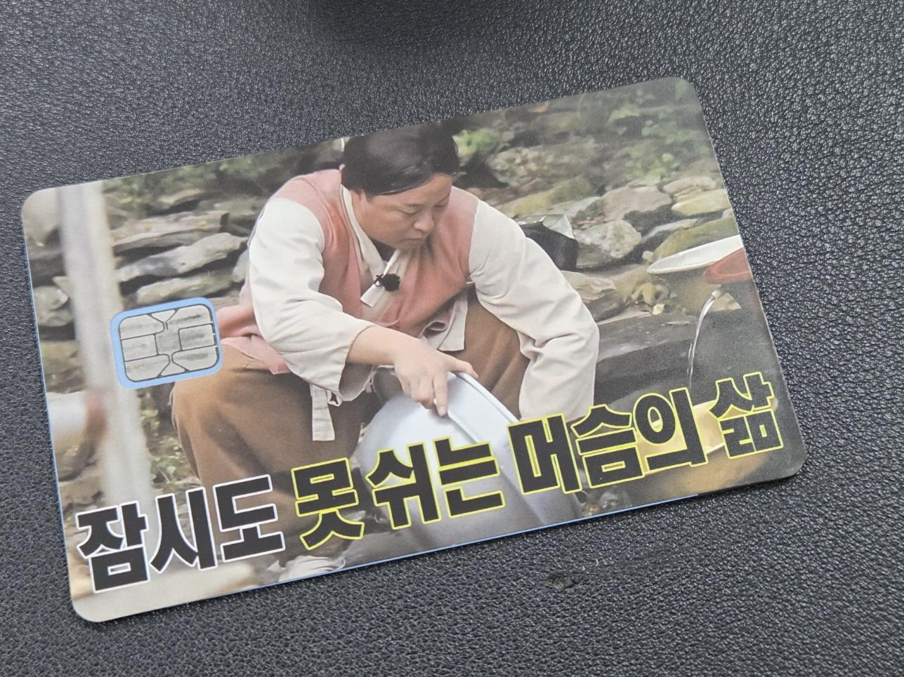 무도키즈가 접니다,
