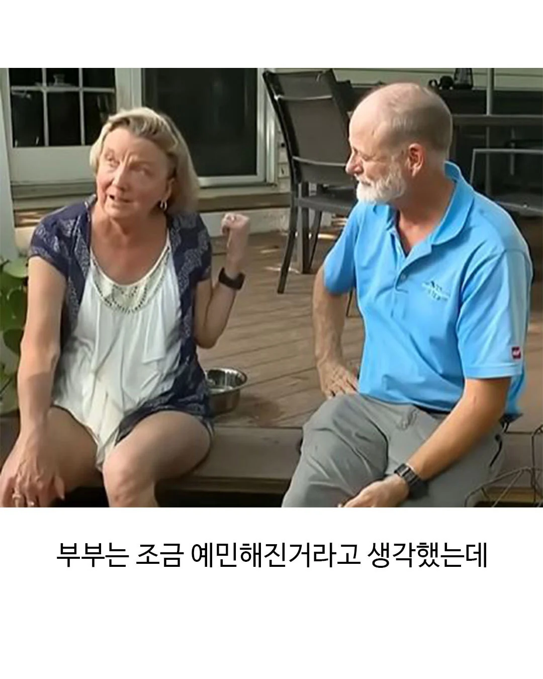 미용실 다녀온 후 표독해진 골든리트리버