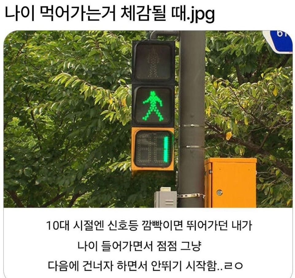 나이 먹은 것 체감될때.