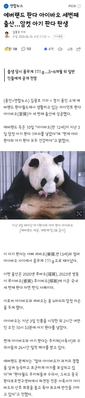 에버랜드 판다 아이바오 세번째 출산…암컷 아기 판다 탄생