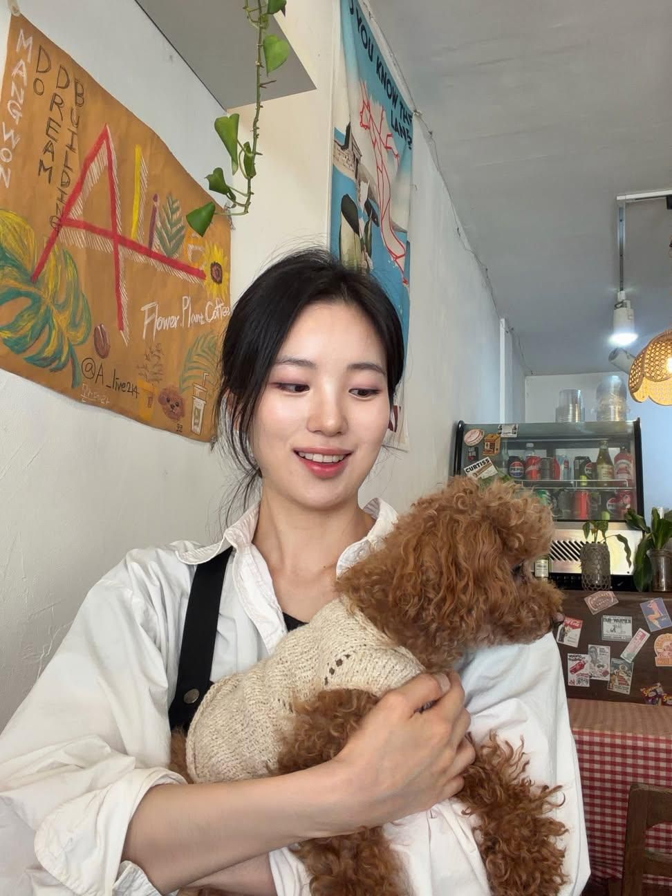 어느 개인카페 사장님 미모.gif