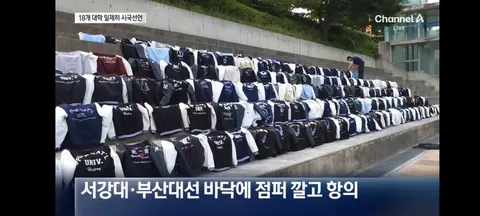 전국 대학들의 시국선언/1104명 참정권 증발시킨 선관위