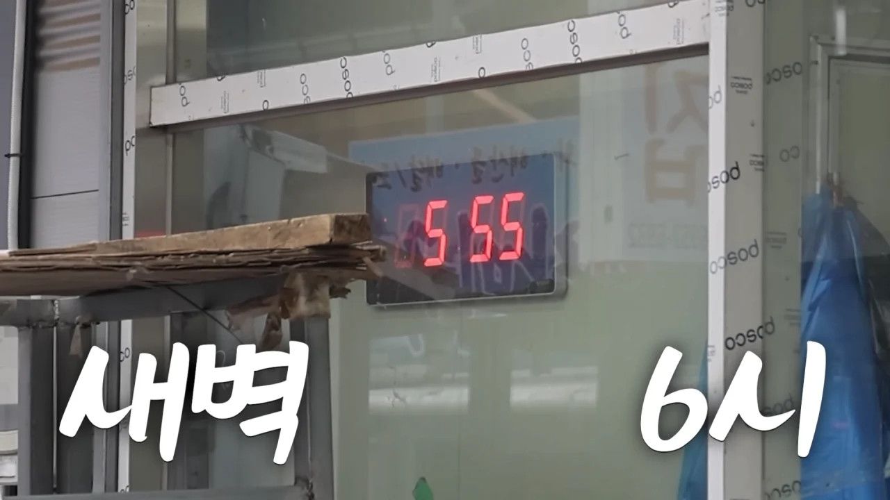 새벽 6시에 백반집에서 먹방하는 쯔양 근황