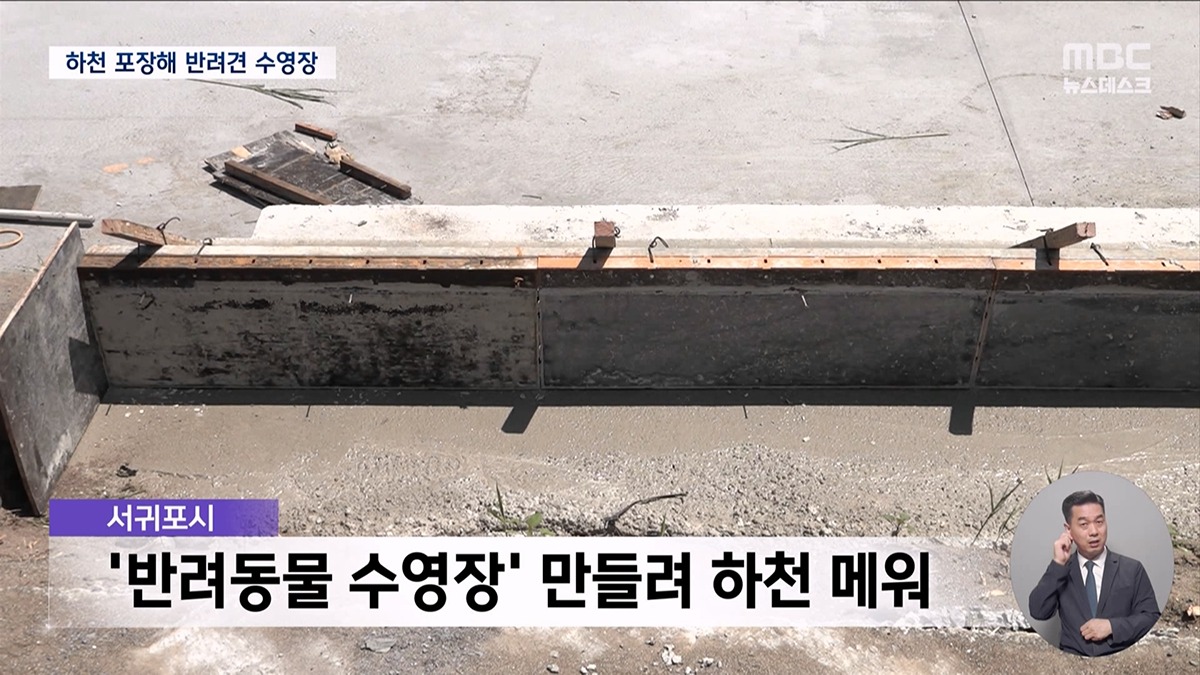 강아지 수영장 위해 하천 바다에 시멘트 포장