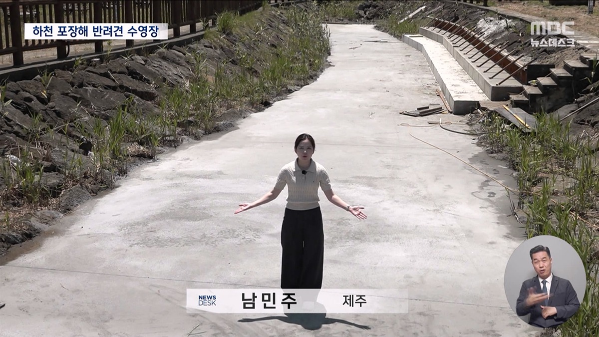 강아지 수영장 위해 하천 바다에 시멘트 포장