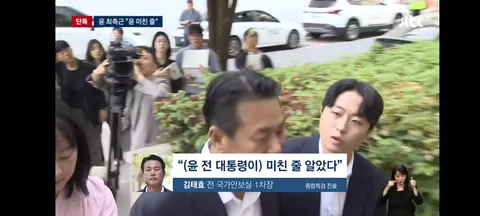 윤, 미친 줄' 오른팔 김태효 '혼자 살려고' 원색적 비난