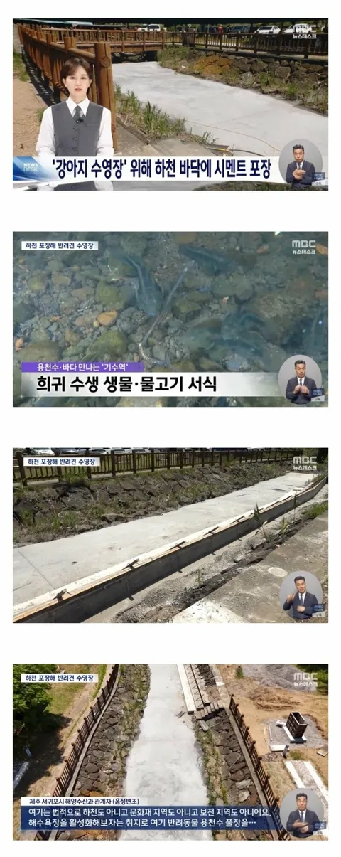 완전 정신나간 행정을 해버린 제주 서귀포시