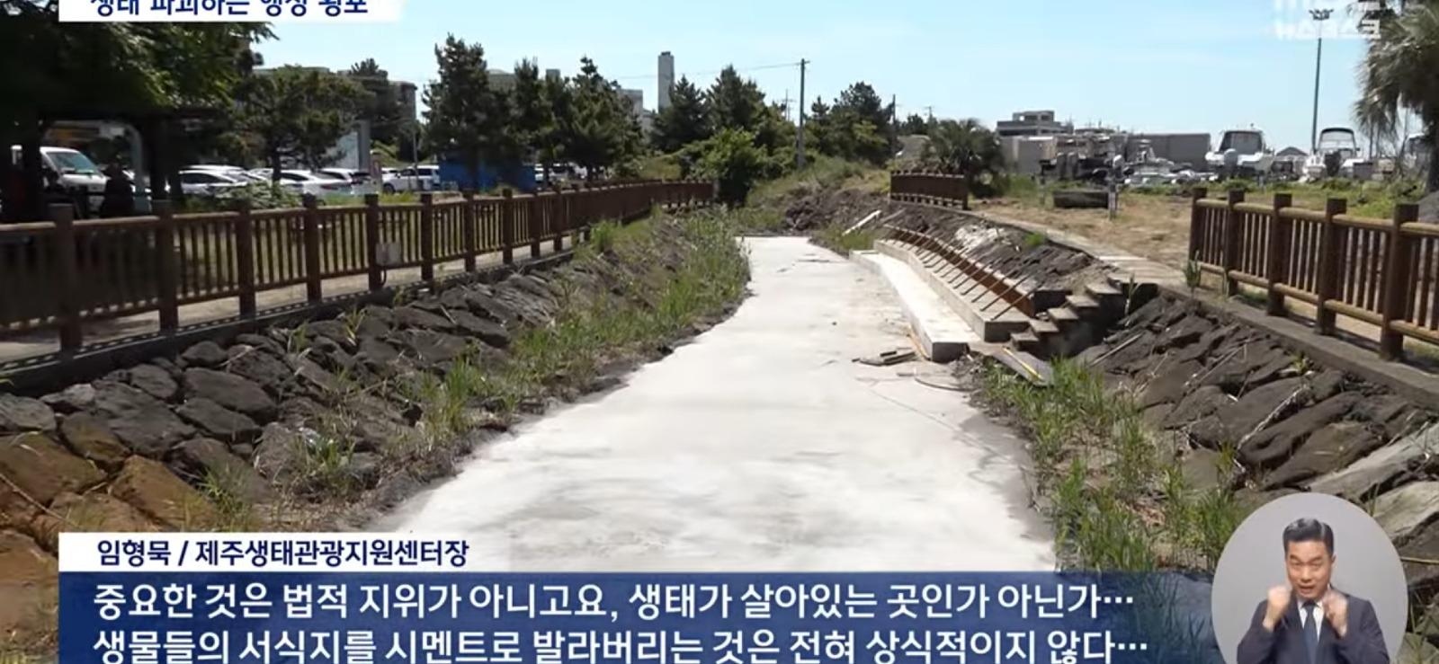 개 수영장 지으려고...콘크리트로 하천을 채워 ㅎㄷㄷ