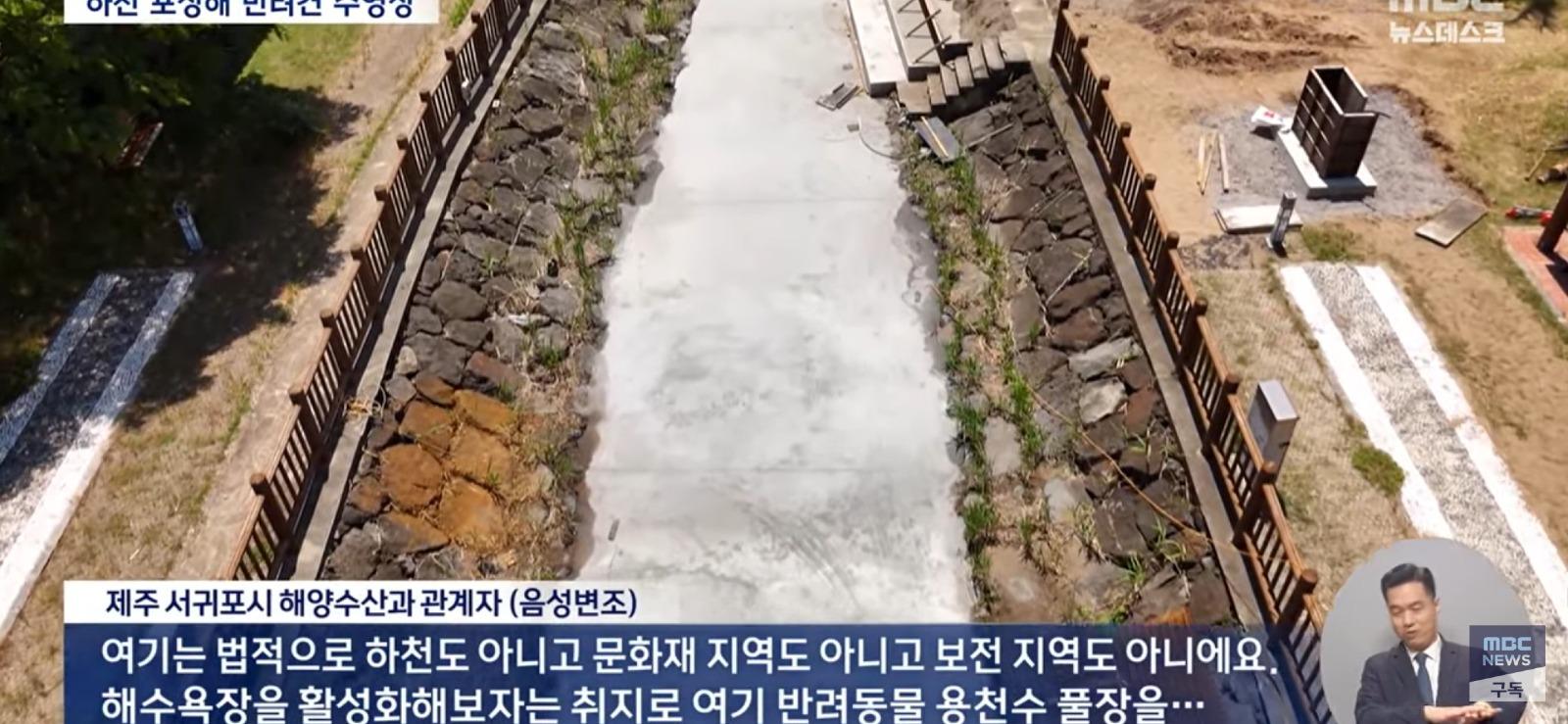 개 수영장 지으려고...콘크리트로 하천을 채워 ㅎㄷㄷ