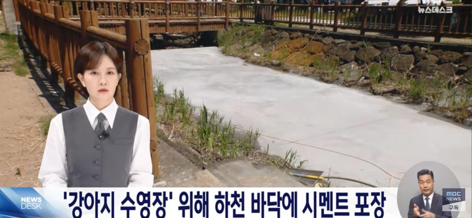 개 수영장 지으려고...콘크리트로 하천을 채워 ㅎㄷㄷ