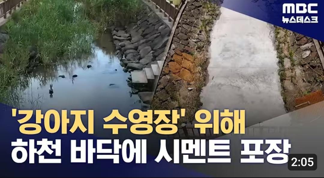 개 수영장 지으려고...콘크리트로 하천을 채워 ㅎㄷㄷ