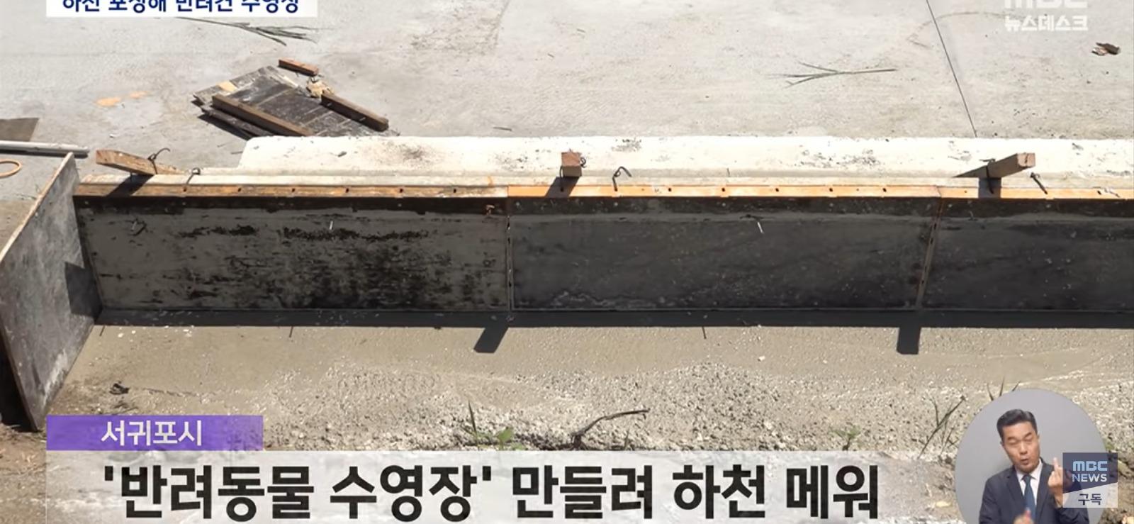 개 수영장 지으려고...콘크리트로 하천을 채워 ㅎㄷㄷ