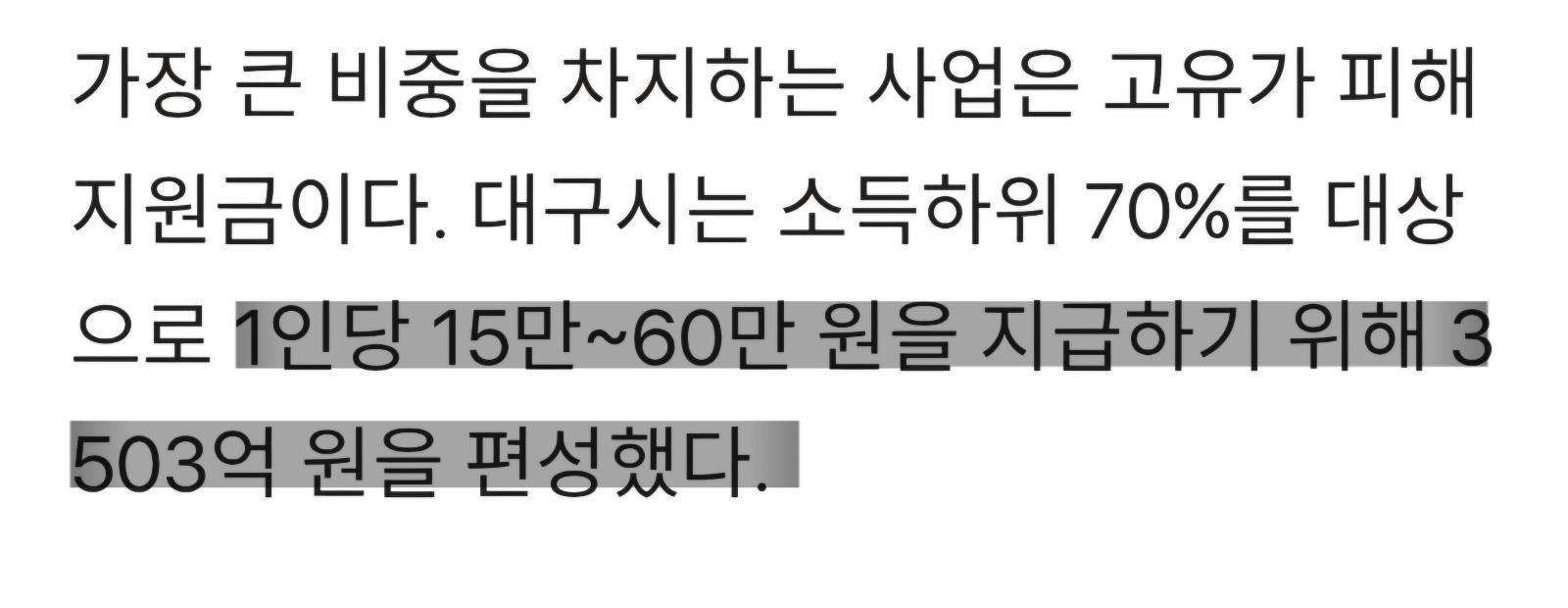 대구시 민생지원금 반영
