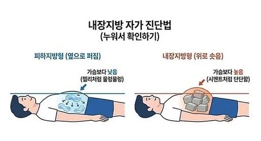내장 지방 구별법