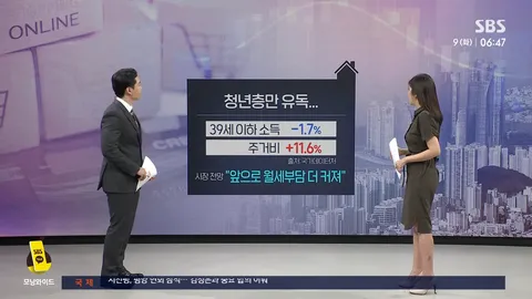 월세 100만 원' 빌라 급증..'싹이 말랐다'