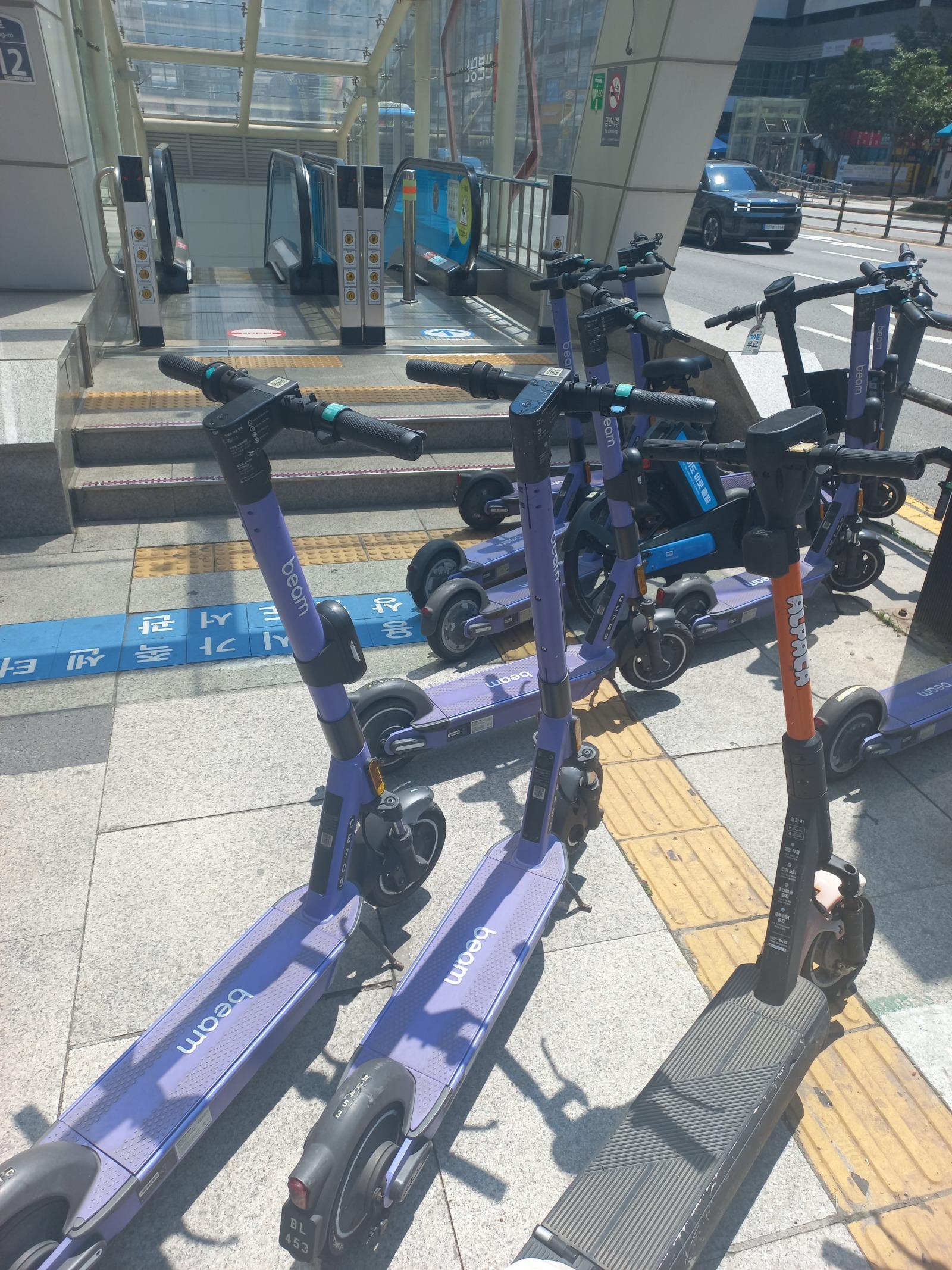 킥보드 주차 실태