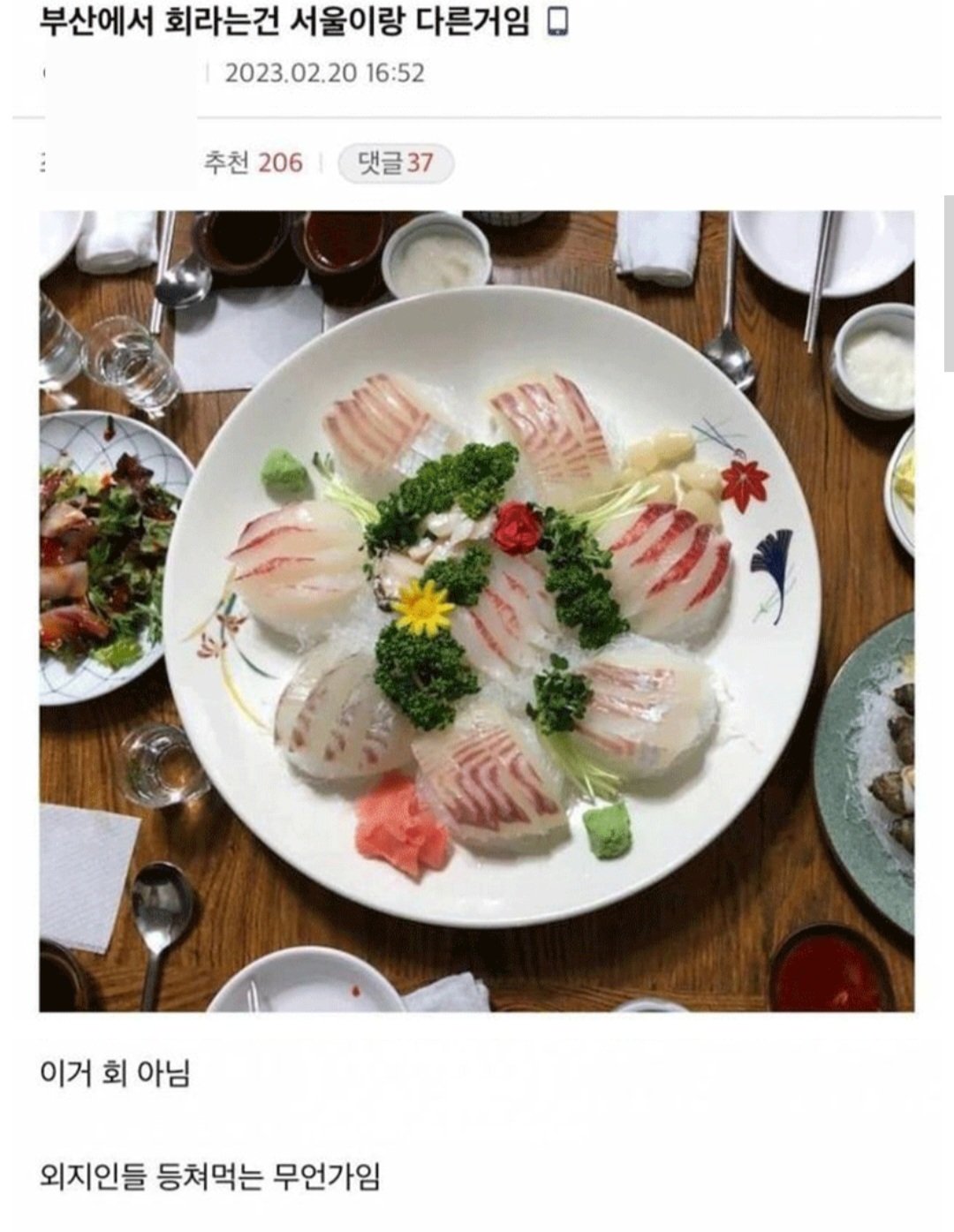부산사람이 말하는 진짜 회란?