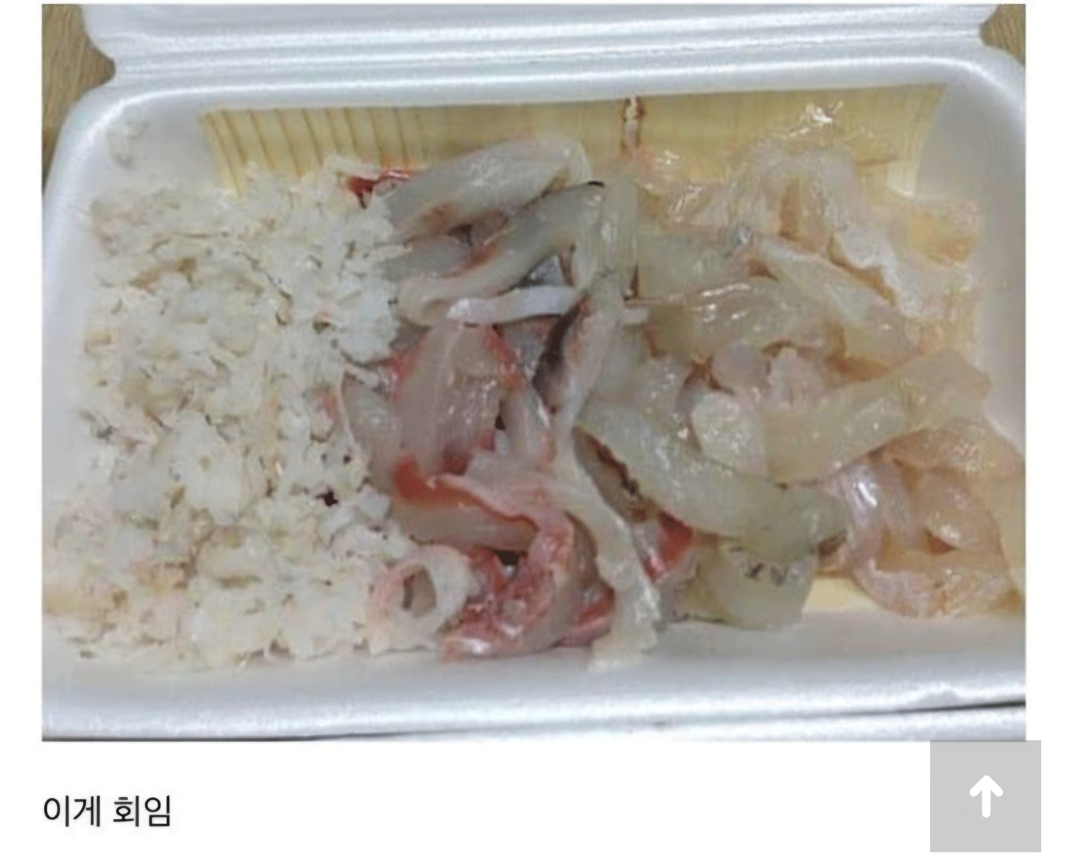 부산사람이 말하는 진짜 회란?